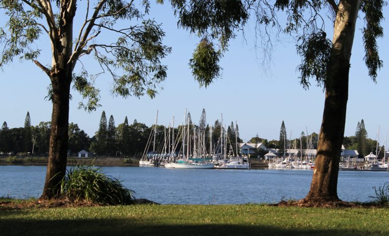 View,Of,Boats,At,The,Gladstone,Marina,Framed,By,Trees