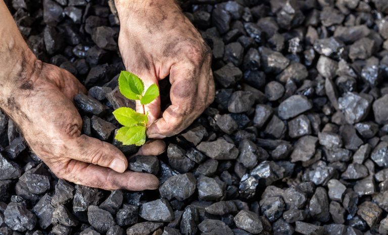 Hands,Of,A,Miner,Planting,A,Green,Plant,On,A
